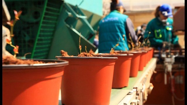 Poljoprivredna emisija Svet poljoprivrede - 511. epizoda