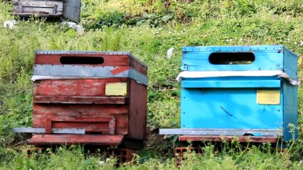 DOKAP 2. Kalkınma Eylem Planı'na hazırlanıyor - GİRESUN