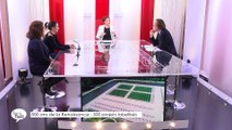 Le Grand Talk - 22/03/2018 Partie 3 - L'asinothérapie : quand les ânes nous soignent