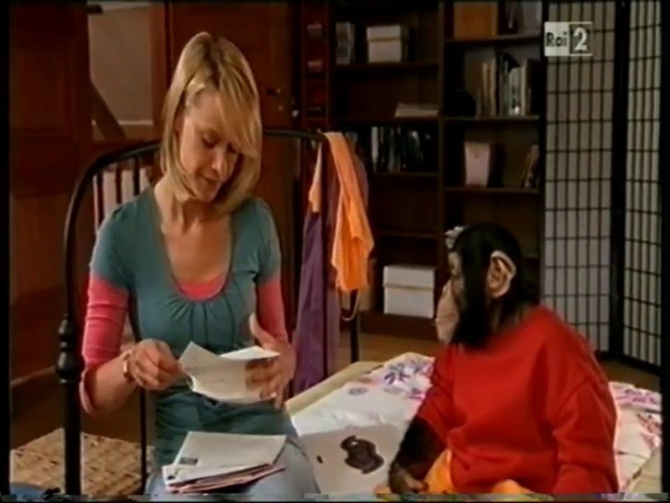 Il nostro amico Charly 16x11 - Charly e il lama