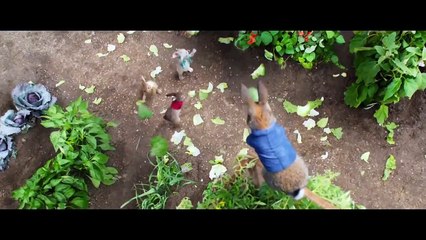 La comedia y el thriller coronan la cartelera de este 23 de marzo