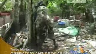 OPERATIVO ANTIDROGAS - TINGO MARÍA
