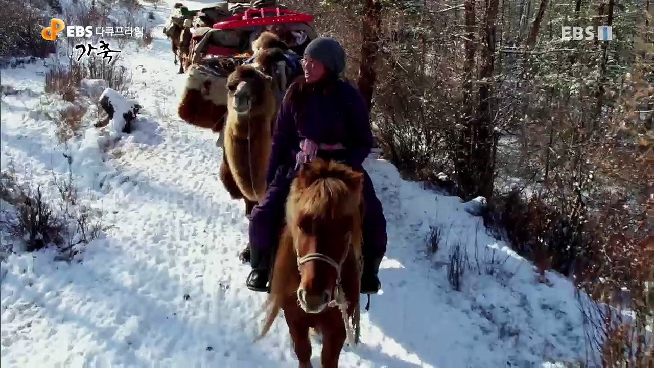 EBS 다큐프라임 - Docuprime_['다큐영화' 아주 오래된 동행]_#001