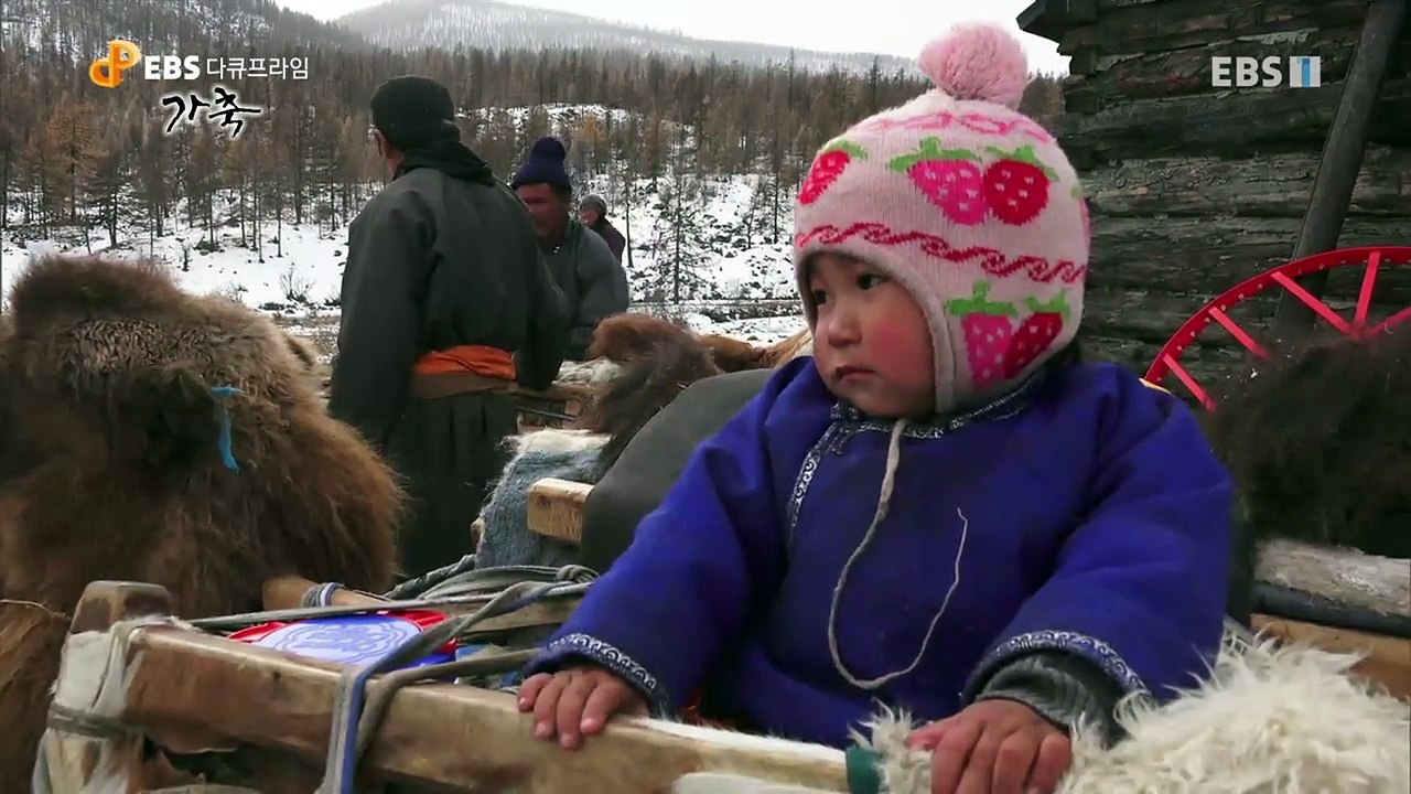 EBS 다큐프라임 - Docuprime_['다큐영화' 아주 오래된 동행]_#002