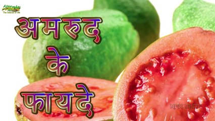 Benefits of Guava अमरुद से 21 दिनों में वीर्य वृद्धि   अमरूद के फ़ायदे   Ayurveda