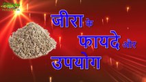 Benefits of Cumin Seeds जीरा के फायदे और उपयोग – Jeera Ke Fayde   Ayurveda The science of life