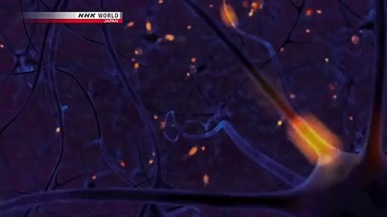 Science View S04E11 The Leading Edge What Makes Human