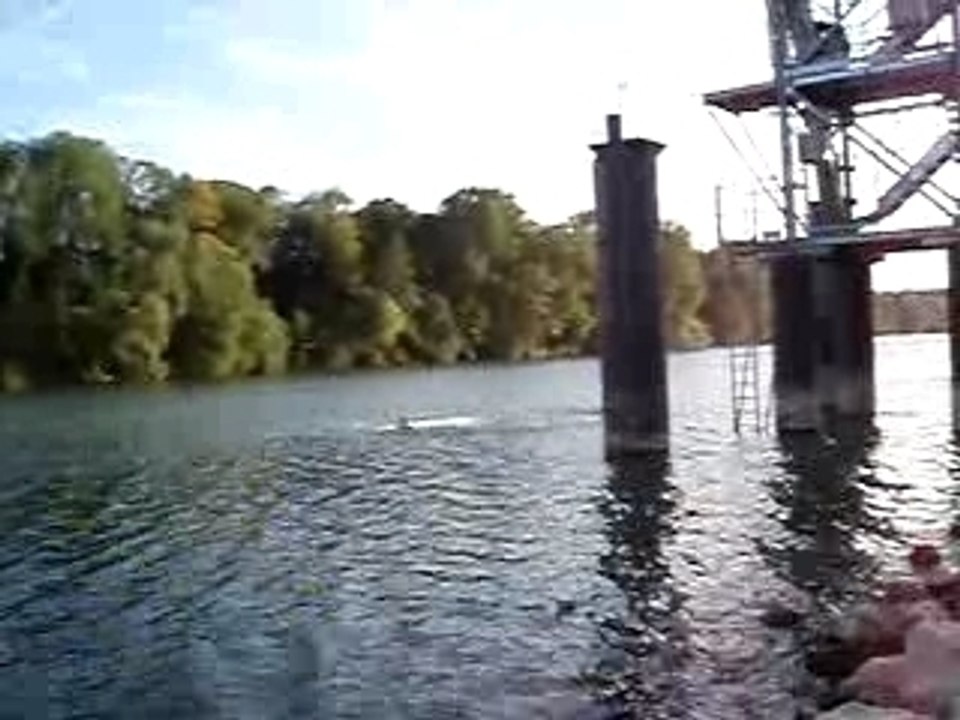 plongeon en seine!