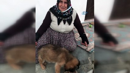Boncuk ve Hatice teyze sosyal medya fenomeni oldu