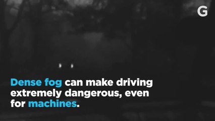 Detecting Objects Through Fog