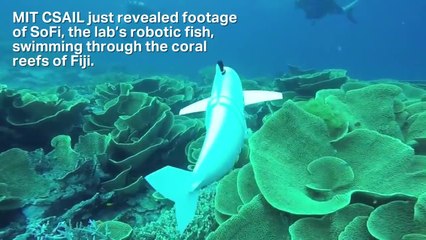 MIT's robotic fish