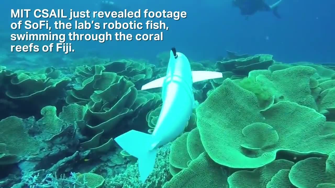 MIT's robotic fish