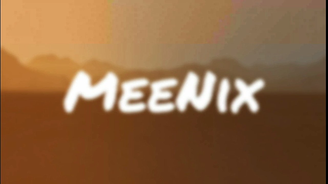 MeenNix