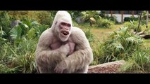 RAMPAGE - Official Trailer   2