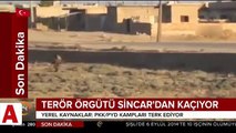 Terör örgütü PKK/YPG köşeye sıkıştı kaçacak delik arıyor