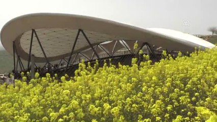 Dünyanın En Eski Tapınağı Göbeklitepe'de "Titiz" Çalışma (2)