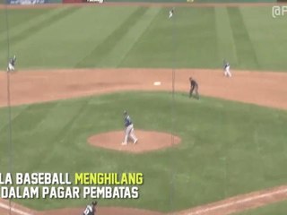 Bola Baseball Menghilang ke Dalam Pagar Pembatas