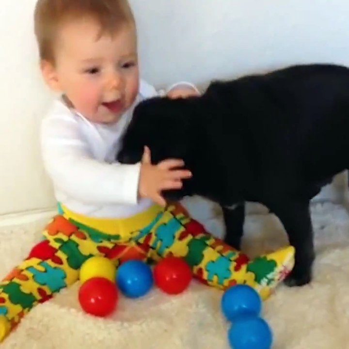 National Puppy Day March 2018 UK USA CANADA
