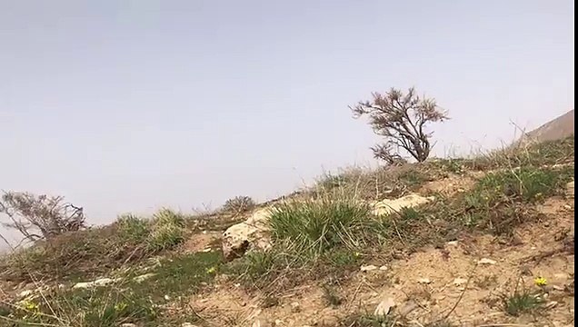 Teröristlerin tuzakları böyle imha edildi