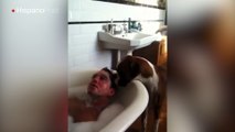 Mientras se bañaba su perro decidió darle un masaje con su lengua en la cabeza