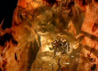 19 Pincers (Aug 1944 - March 1945)