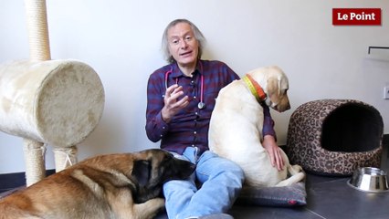 Chiens : les bons conseils de Thierry Bedossa