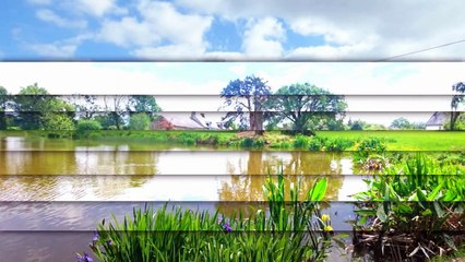 propriété sur 3.1 hectares avec plan d'eau