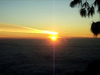 Munnar - the Hill Station of Kerala