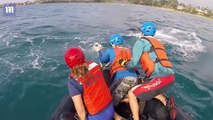Heart-warming moment whale thanks rescuers who untangled it