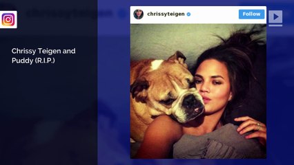 Celebrities with Their Doggies! #NationalPuppyDay