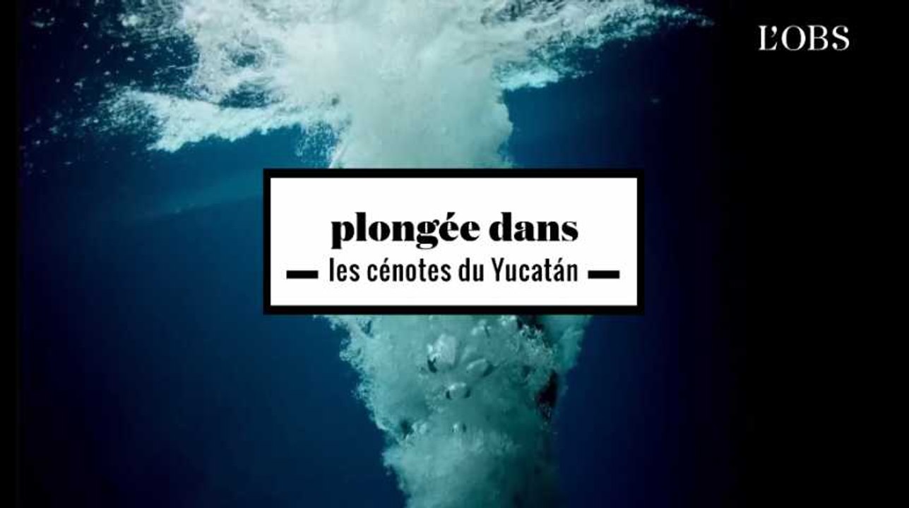 2 minutes de plongée en apnée avec Guillaume Néry dans les cénotes du Yucatán, au Mexique