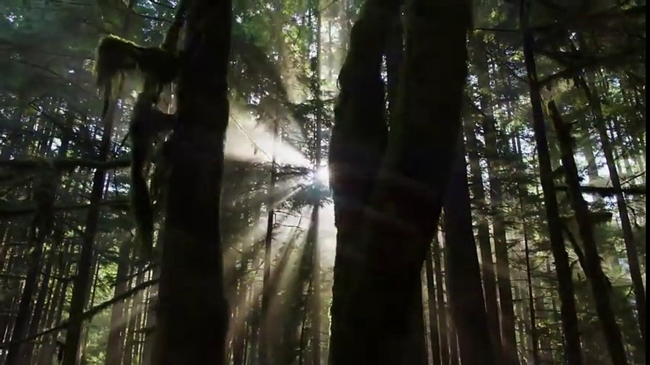 The 100 Season 5 Official Trailer