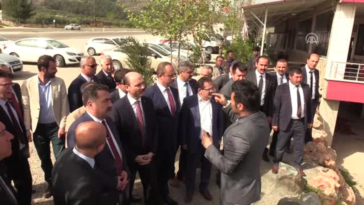 Türk Eğitim-Sen'den Zeytin Dalı Harekatı'na Destek