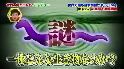 世界の何だコレ？UMA シーモンスター
