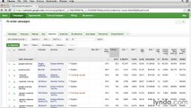 08.05 - Balance | Lynda Adwords | 08. Optimizing for Performance