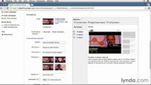 10.03 - Create Vid Campaign | Lynda Adwords | 10. Leveraging Video Advertising