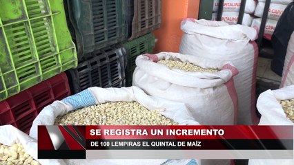 Se registra un incremento de 100 lempiras el quintal de maíz