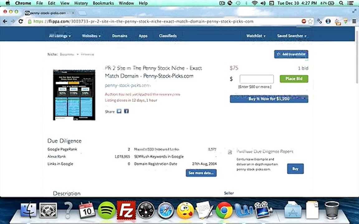 Flippa | Profitable Niche Market