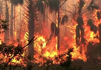 Florida Wildfire Burns Through Nearly 2,000 Acres