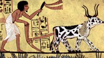 10 Amazing Ancient Egyptian Inventions