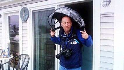 7 Umbrellas To Keep You Dry And Happy