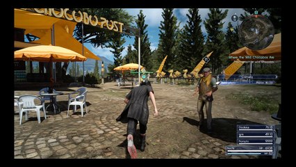 Hot dropping chocobos