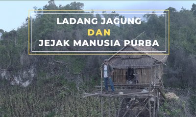 Jagung & Jejak Manusia Purba | Ekspedisi Pulau Muna (4)