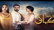 Teri Meri Kahani Episode #10 HUM TV Drama 22 March 2018 - dailymotion