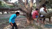 [MP4 360p] Indian Silent Comedy__हँसते हँसते पागल हो जाओगे__Indias funny video...