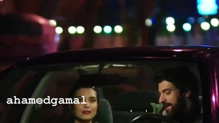 اغنية قلبى بيعشقك حبيبتى عمر واليف