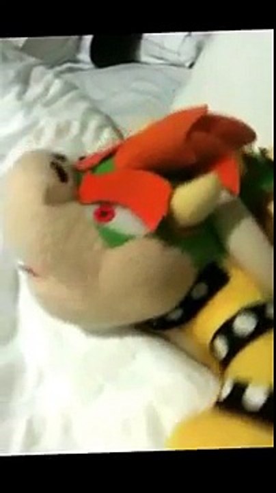 Bowser Watching Paranormal Activity