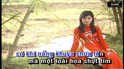 Chiều Một Mình Qua Phố - Linda Trang Đài