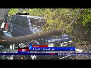 Cuaca Ekstrem, 2 Mobil Tertimpa Pohon - NET 5