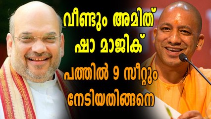 വീണ്ടും താമര വിരിയിച്ചു ബി.ജെ.പി. എസ്.പി - ബി.എസ്.പി. സഖ്യത്തിന് തിരിച്ചടി.